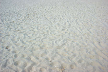 sand texture in mexicoの写真素材