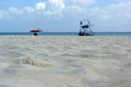 close up of beach with blurry backgroundの写真素材