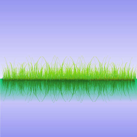 Illustration of grass reflecting in water. Available in both jpeg and eps8 format.のイラスト素材