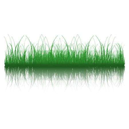 Illustration of grass with reflection. Available in jpeg and eps8 format.のイラスト素材