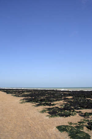 Images from the beach and Broadstairs Kent UKの写真素材