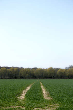 Trails left by the tractor after sowing the seed in the fieldの写真素材