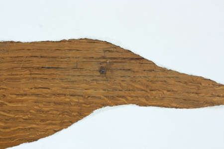 Torn piece of paper on a wooden backgroundの写真素材