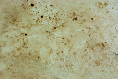 Close up of an old piece of paperの写真素材