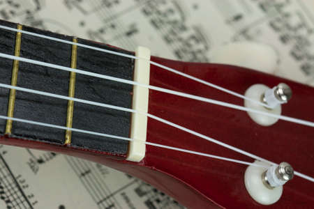 Close up of a ukulele rested on sheet musicの写真素材