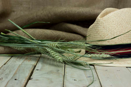 Straw hat resting on a rustic wooden surface.の写真素材
