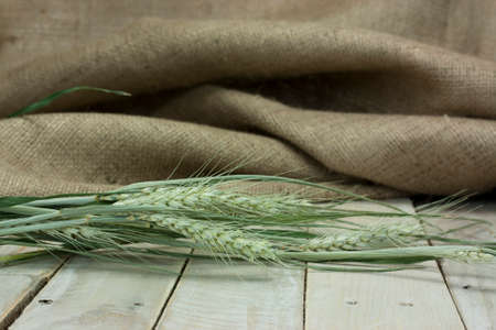 Dried wheat and straw on a rustic looking surface.の写真素材