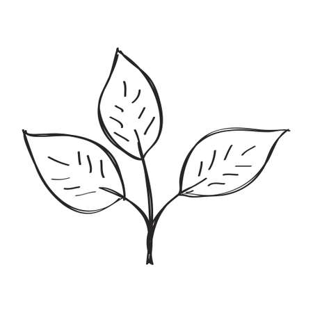 Simple hand drawn doodle of a leafのイラスト素材