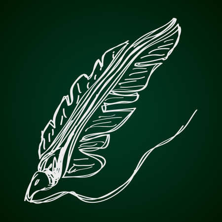 Simple hand drawn doodle of a quillのイラスト素材