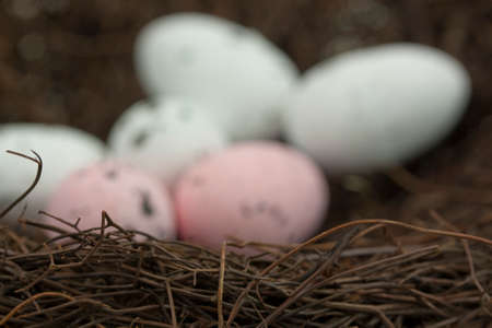 Close up of Easter eggs in a nest.