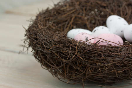 Close up of Easter eggs in a nest.の写真素材
