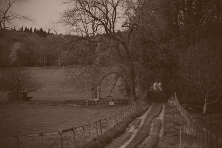 View through the trees on a country walk in the Chilterns, England.
