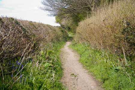 View through the trees on a country walk in the Chilterns, England.の写真素材