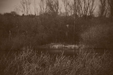 River Misbourne in the Chilterns, Engalndの写真素材