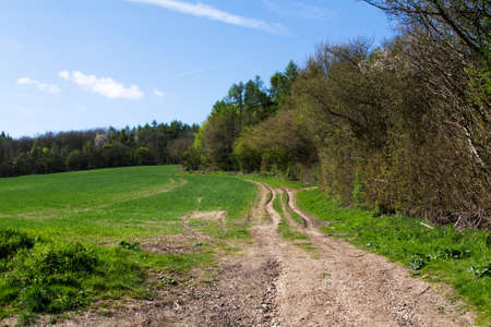 View along a county path in the Chilterns, England