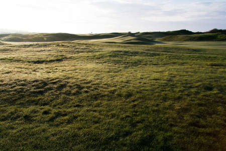 Golf course at dawn with low lightの写真素材