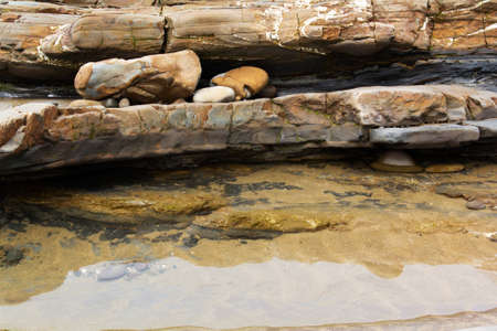 Close up of rocks. Good for texture.の写真素材