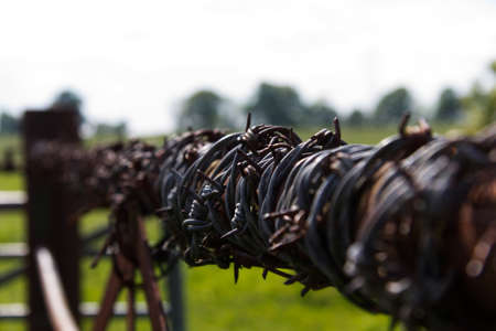 Close up of barbed wire on a farm gateの写真素材