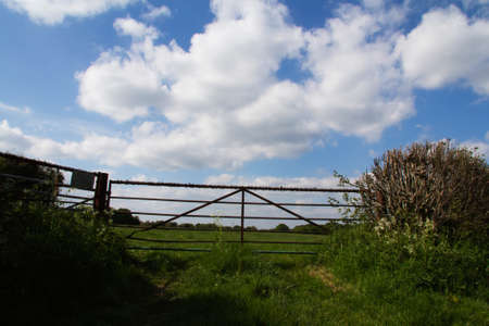 Old metal gate in a hedge with blue skyの写真素材