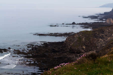 View from the coastal path between Widemouth Bay and Budeの写真素材