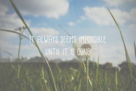 Inspirational quote on a blurred dandelion backgroundの写真素材