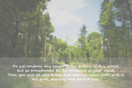 Inspirational verse from the bible on a blurred backgroundの写真素材