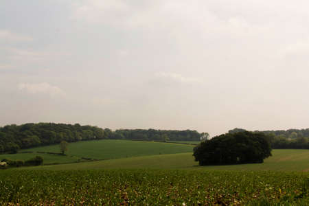 View over the Chilterns landscape in Buckinghamshire, Englandの写真素材