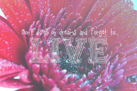 Inspirational life message on a blurred backgroundの写真素材