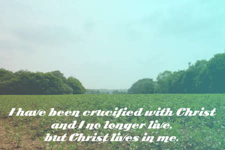 Inspirational verse from the bible on a blurred backgroundの写真素材