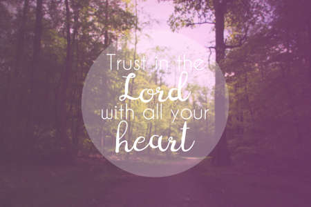 Inspirational verse from the bible on a blurred backgroundの写真素材