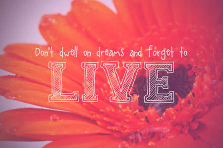 Inspirational life message on a blurred backgroundの写真素材