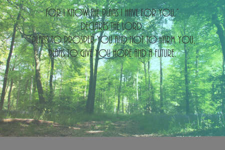 Inspirational verse from the bible on a blurred background