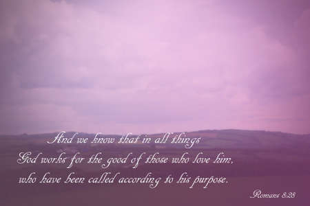 Inspirational verse from the bible on a blurred backgroundの写真素材
