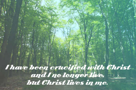 Inspirational verse from the bible on a blurred backgroundの写真素材