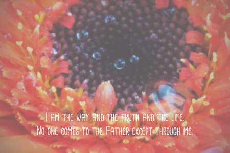 Inspirational verse from the bible on a blurred backgroundの写真素材