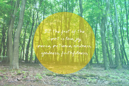 Inspirational verse from the bible on a blurred backgroundの写真素材