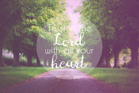 Inspirational verse from the bible on a blurred backgroundの写真素材