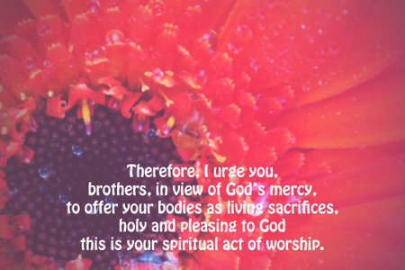 Inspirational verse from the bible on a blurred backgroundの写真素材
