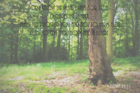 Inspirational verse from the bible on a blurred backgroundの写真素材