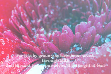 Inspirational verse from the bible on a blurred backgroundの写真素材