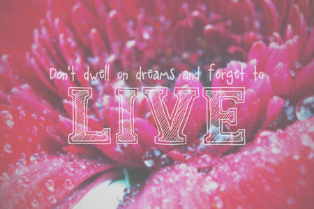 Inspirational life message on a blurred backgroundの写真素材