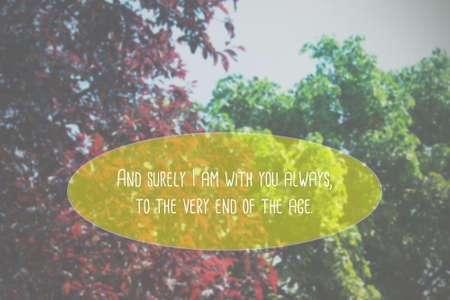 Inspirational verse from the bible on a blurred backgroundの写真素材