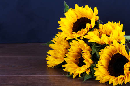 Bright yellow sunflower on against a rustic backgroundの写真素材