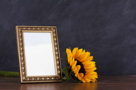 Old picture frame and sunflower against a dirty blackboard background