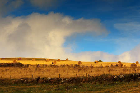 View of countryside from costal path near Polzeath, Cornwallの写真素材