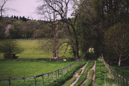 Countryside path in the Chilterns, going downhill through trees Vintage Retro Filter.