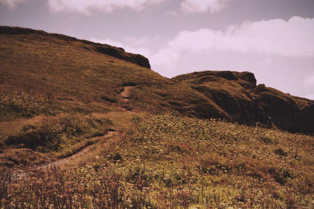 View from the costal path near Polzeath, Cornwall. Vintage Retro Filter.