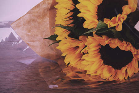 Bright yellow sunflower on against a rustic background Vintage Retro Filter.の写真素材