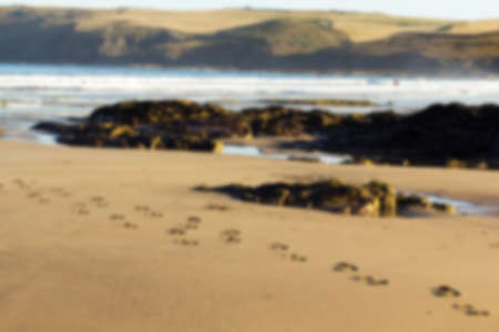 Footprints in the sand on Polzeath beach, Cornwall Out of focus.