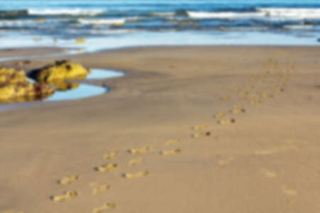 Footprints in the sand on Polzeath beach, Cornwall Out of focus.の写真素材